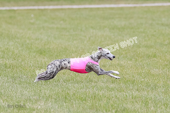Final Fch 4  Hazel Vera Ren-8502