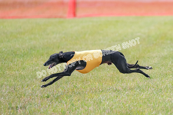 Final Open 1 Axl Diamond Prim-8197