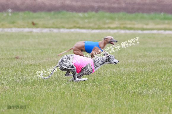 Final Fch 4  Hazel Vera Ren-8489