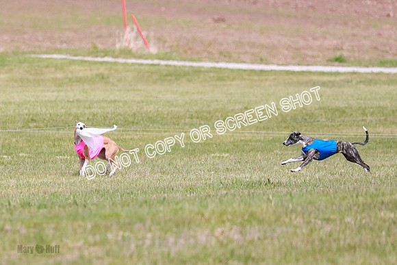 Final Open 1 Axl Diamond Prim-8140