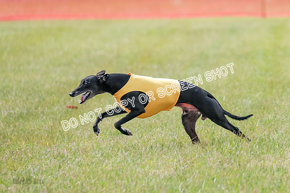Final Open 1 Axl Diamond Prim-8196