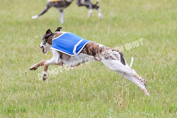 Final Fch 1 Whisper Keegan Charlie-8343