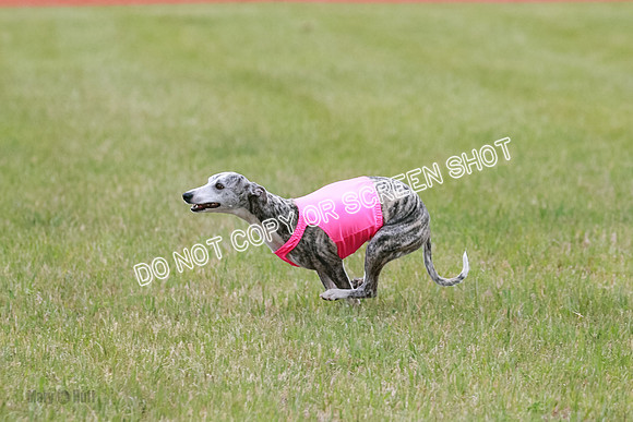 Final Fch 4  Hazel Vera Ren-8517