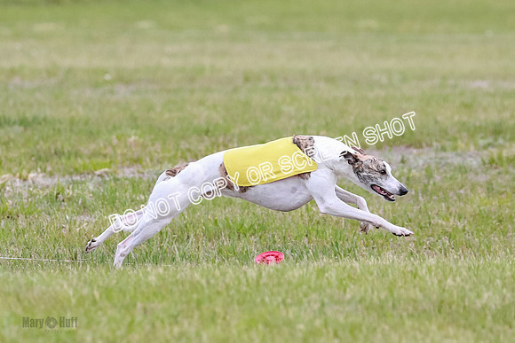 Prelim Fch 5 Riggs Ren Quest-6925
