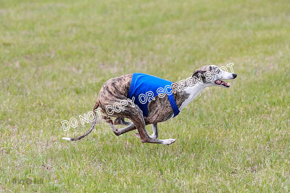 Prelim Fch 5 Riggs Ren Quest-6919