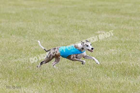 Final Fch 3 Quest Sonny Thor-8439