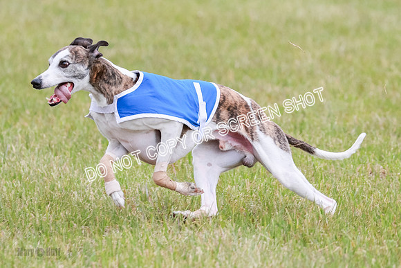 Final Fch 1 Whisper Keegan Charlie-8318