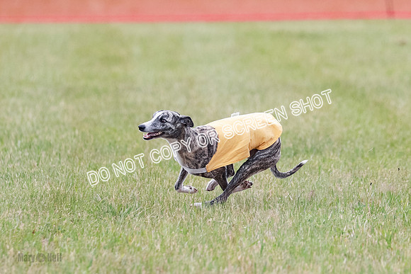 Final Fch 1 Whisper Keegan Charlie-8324