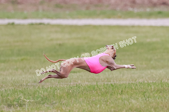 Final Fch 1 Whisper Keegan Charlie-8293