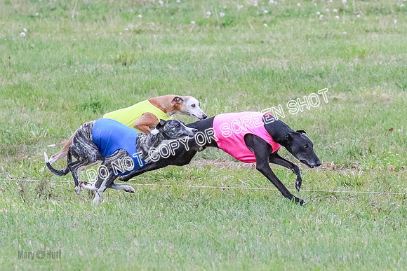 Prelim Open 1 Diamond, Axel, Prim-6413