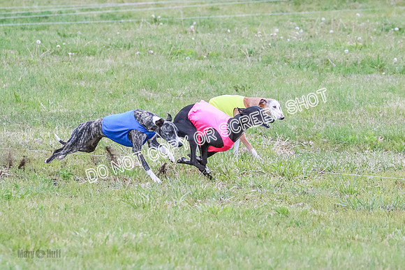 Prelim Open 1 Diamond, Axel, Prim-6407