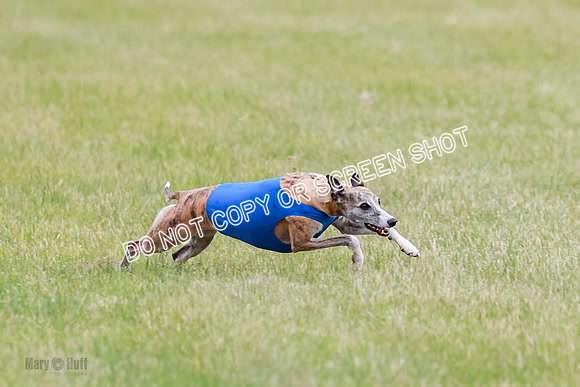 Final Fch 2 Archer Rasher Leni-8360
