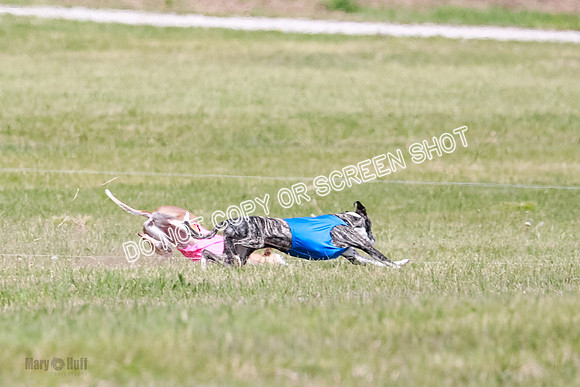 Final Open 1 Axl Diamond Prim-8132