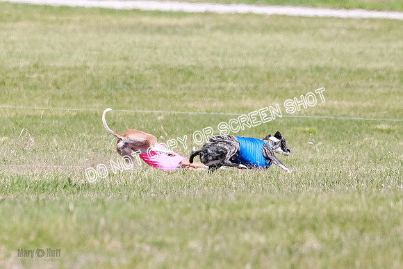 Final Open 1 Axl Diamond Prim-8133