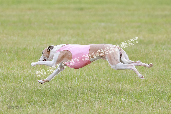 Final Fch 2 Archer Rasher Leni-8413