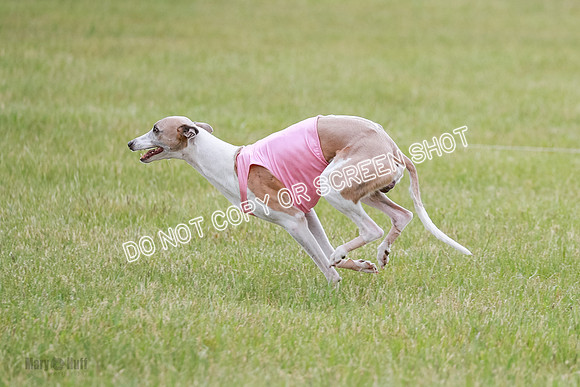 Final Fch 2 Archer Rasher Leni-8407