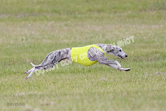 Prelim Fch 4 Vera Rasher Raya-6862