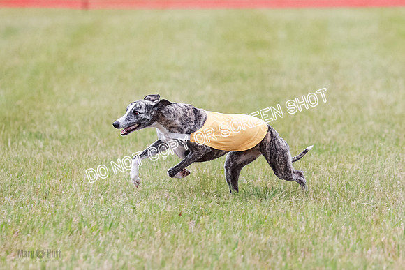 Final Fch 1 Whisper Keegan Charlie-8325