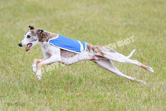 Final Fch 1 Whisper Keegan Charlie-8319