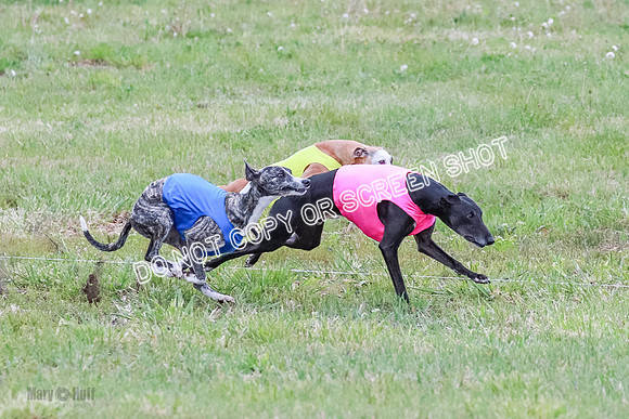 Prelim Open 1 Diamond, Axel, Prim-6410