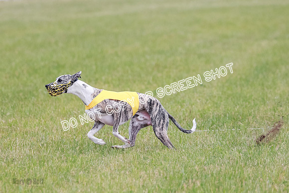 Final Fch 2 Archer Rasher Leni-8377