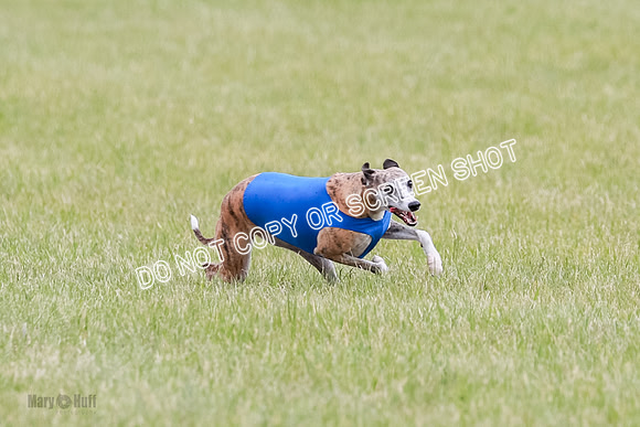 Final Fch 2 Archer Rasher Leni-8363