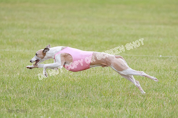 Final Fch 2 Archer Rasher Leni-8405