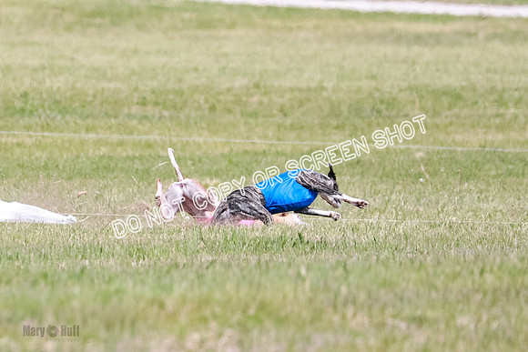 Final Open 1 Axl Diamond Prim-8131