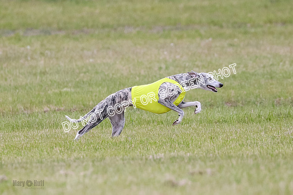 Prelim Fch 4 Vera Rasher Raya-6861