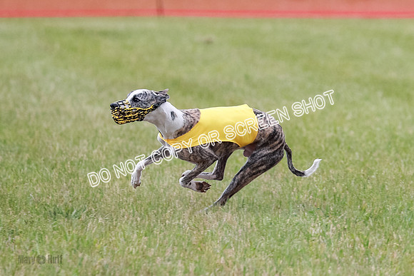 Final Fch 2 Archer Rasher Leni-8389