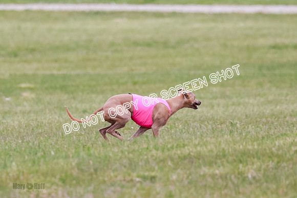 Final Fch 1 Whisper Keegan Charlie-8291