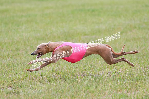 Final Fch 1 Whisper Keegan Charlie-8332