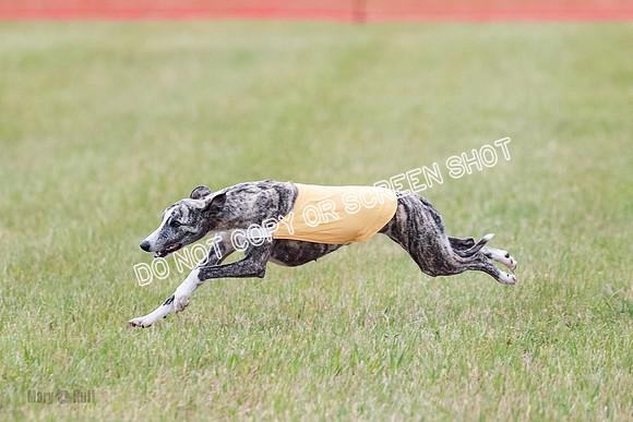 Final Fch 1 Whisper Keegan Charlie-8326