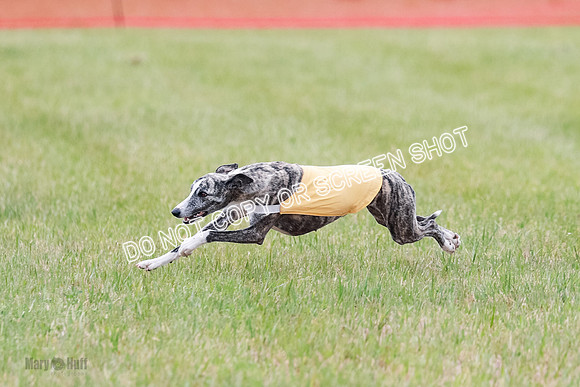 Final Fch 1 Whisper Keegan Charlie-8322