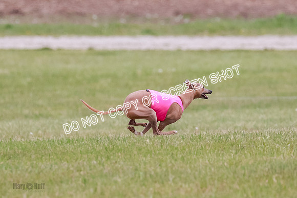 Final Fch 1 Whisper Keegan Charlie-8295