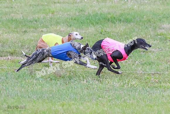 Prelim Open 1 Diamond, Axel, Prim-6415
