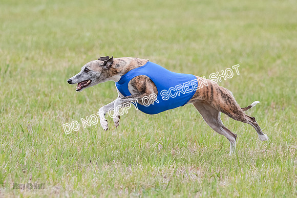 Final Fch 2 Archer Rasher Leni-8399