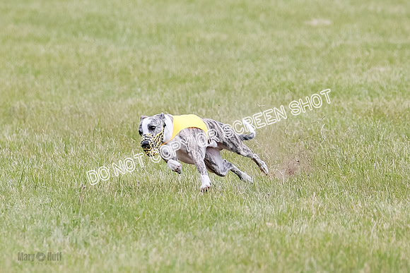 Final Fch 2 Archer Rasher Leni-8372