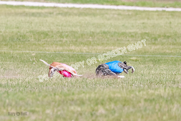 Final Open 1 Axl Diamond Prim-8134