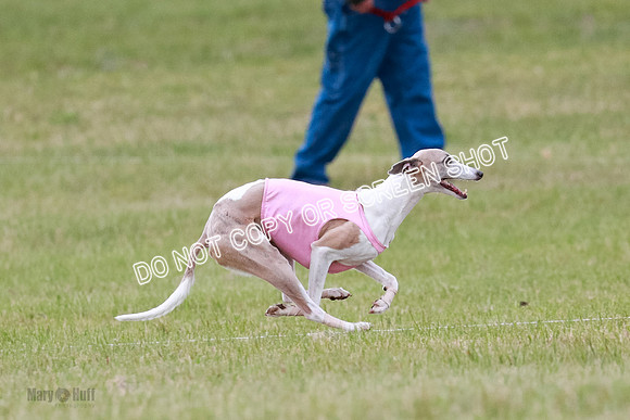 Prelim Fch 4 Vera Rasher Raya-6871