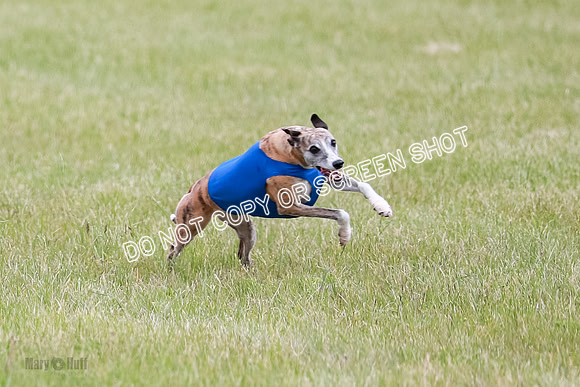 Final Fch 2 Archer Rasher Leni-8367