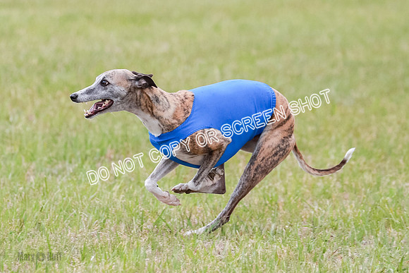 Final Fch 2 Archer Rasher Leni-8398