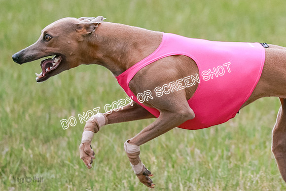 Final Fch 1 Whisper Keegan Charlie-8335