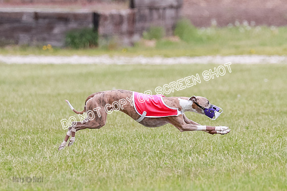 Final Fch 3 Quest Sonny Thor-8428