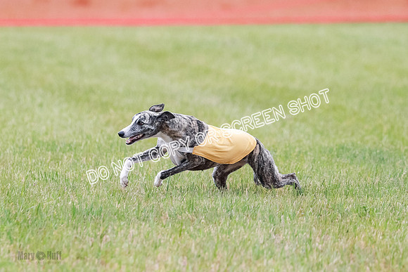 Final Fch 1 Whisper Keegan Charlie-8321