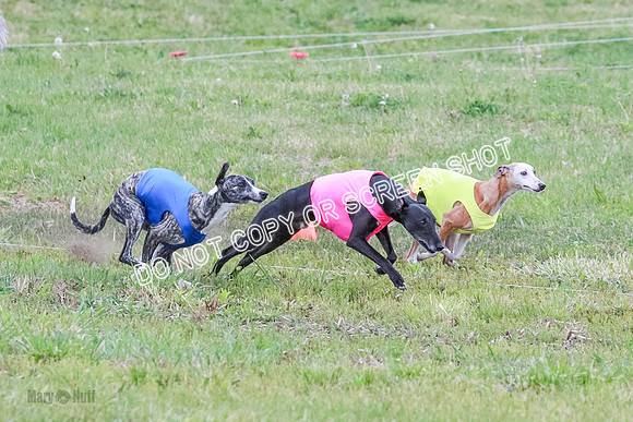 Prelim Open 1 Diamond, Axel, Prim-6402