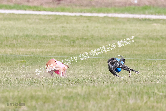 Final Open 1 Axl Diamond Prim-8137