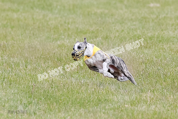 Final Fch 2 Archer Rasher Leni-8371