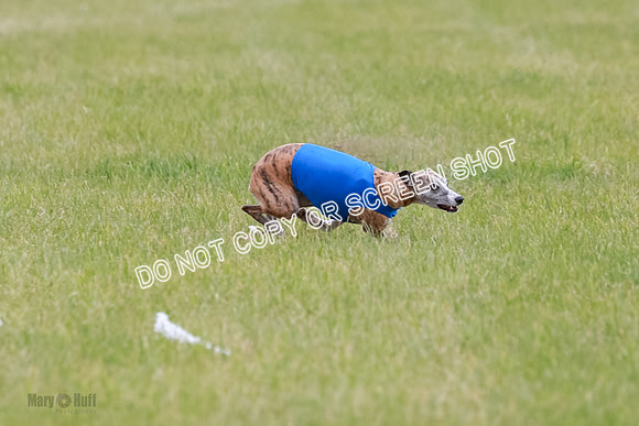 Final Fch 2 Archer Rasher Leni-8358
