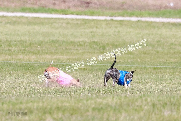 Final Open 1 Axl Diamond Prim-8136